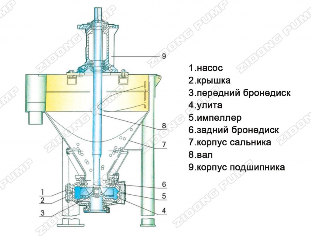 ZF-structure.jpg